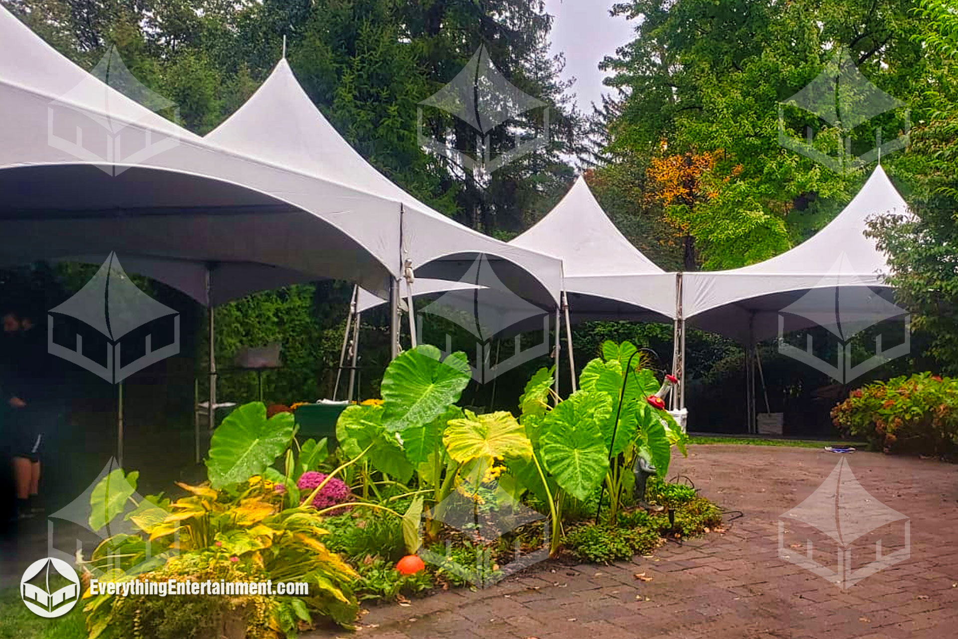 Several high-peak marquee tents next to each other set up in a backyard.