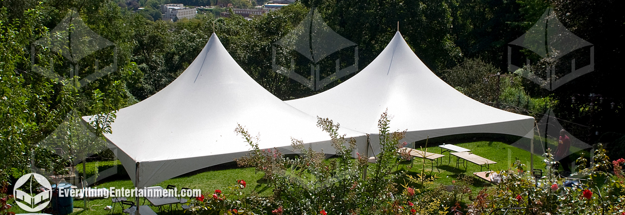 High peak tents setup in a backyard for a party