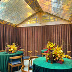 tent with green drapes and twinkle lights